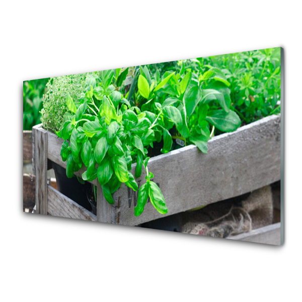 Tableau sur verre Herbes dans une boîte en bois