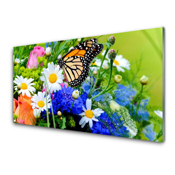 Tableau imprimé sur verre Fleurs des champs et papillon