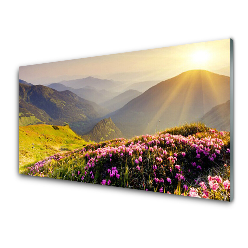 Tableau imprimé sur verre Prairie sur une montagne Paysage