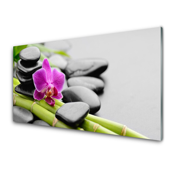 Tableau photo sur verre Pierres à fleurs de bambou