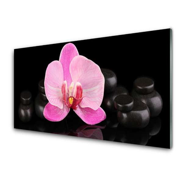 Tableau imprimé sur verre Orchidée rose sur fond noir