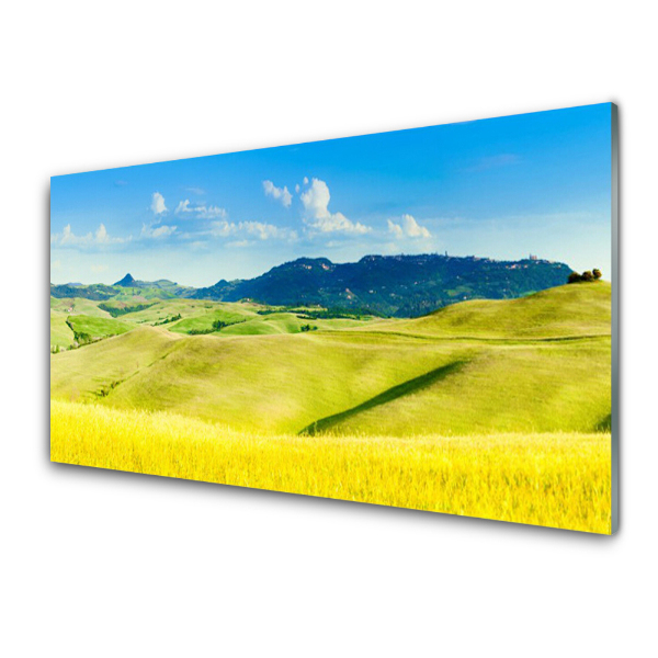 Tableau photo sur verre bourgeons et montagnes ciel bleu