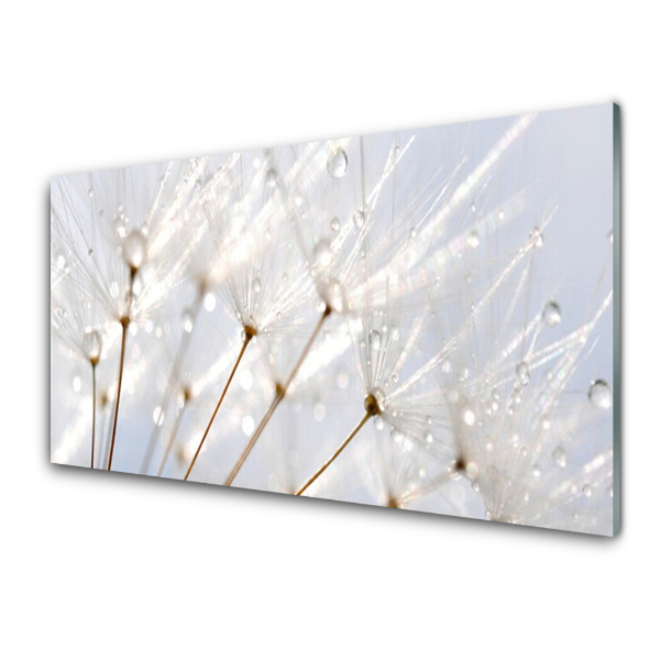 Tableau en verre Graines de pissenlit blanches