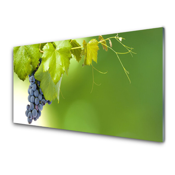 Tableau sur verre Grappe de raisin fond vert