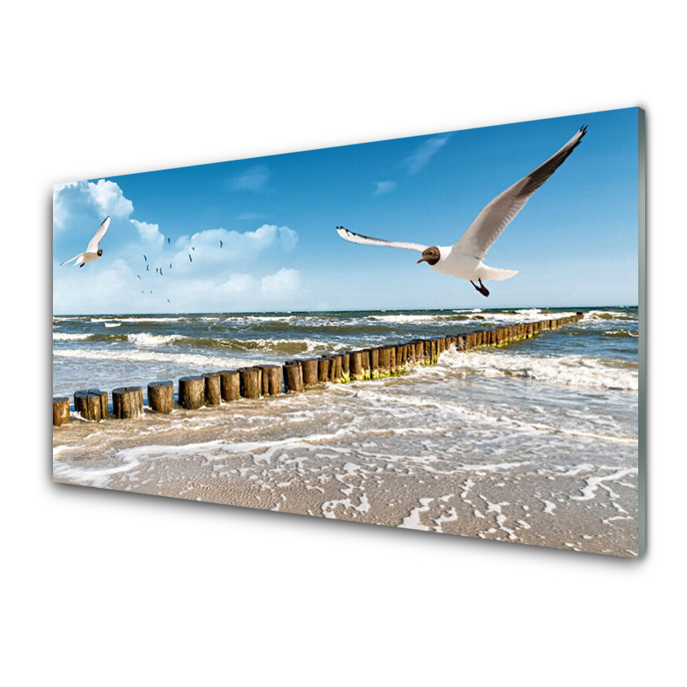 Tableau verre imprimé Mouettes au bord de la mer