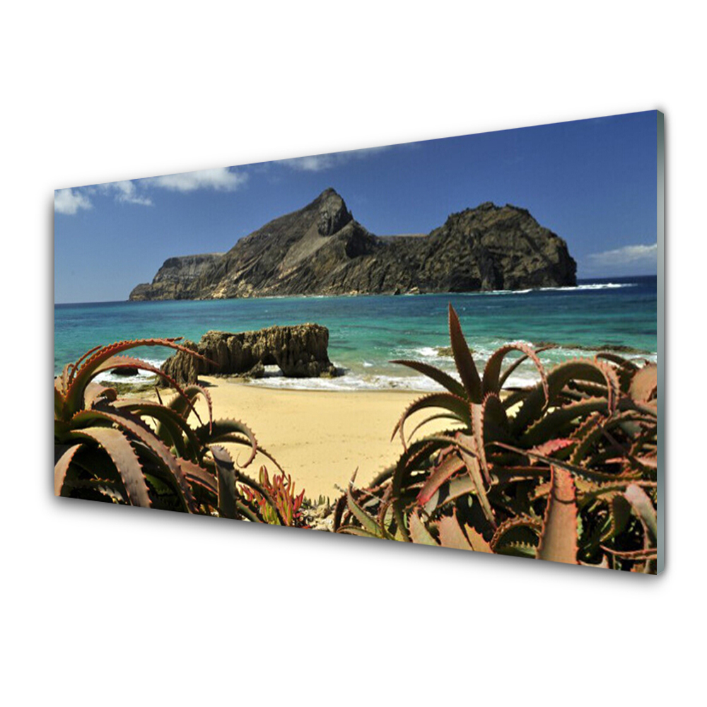 Tableau sur verre Vue de la plage sur l'île