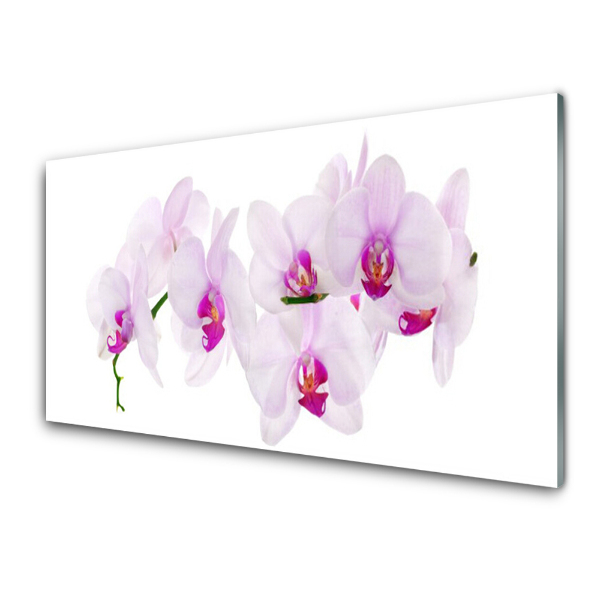 Tableau imprimé sur verre Orchidée rose vif