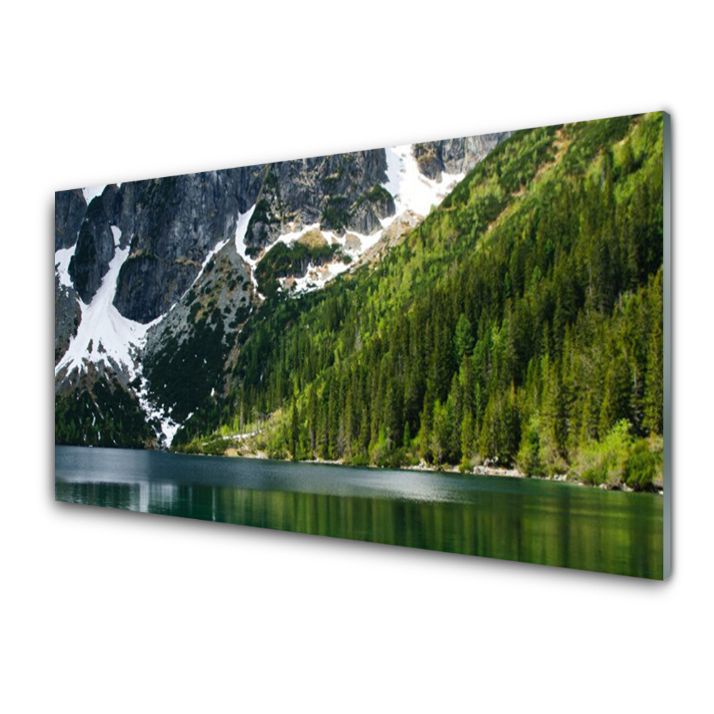 Tableau verre imprimé Forêt à flanc de montagne