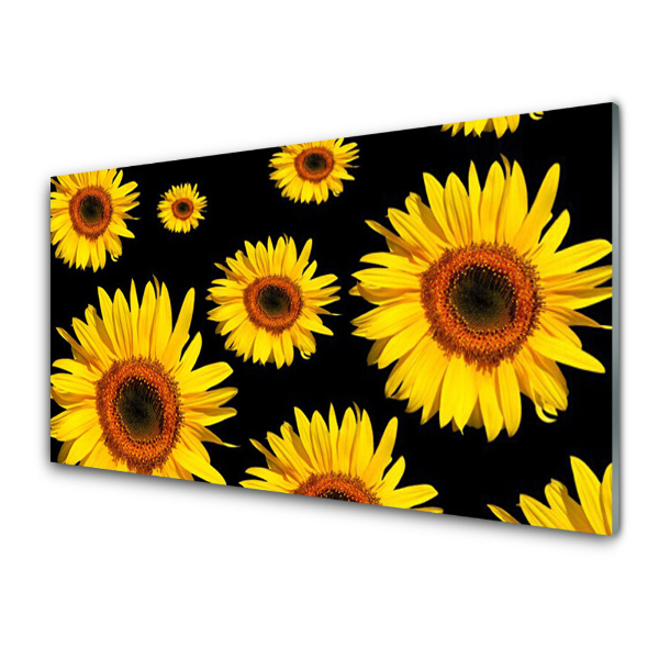 Tableau photo sur verre Tournesols sur fond noir