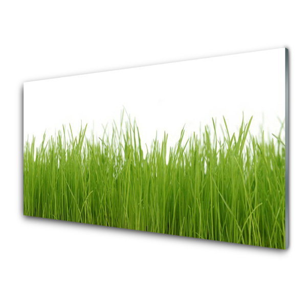 Tableau en verre Jeune herbe Plante naturelle