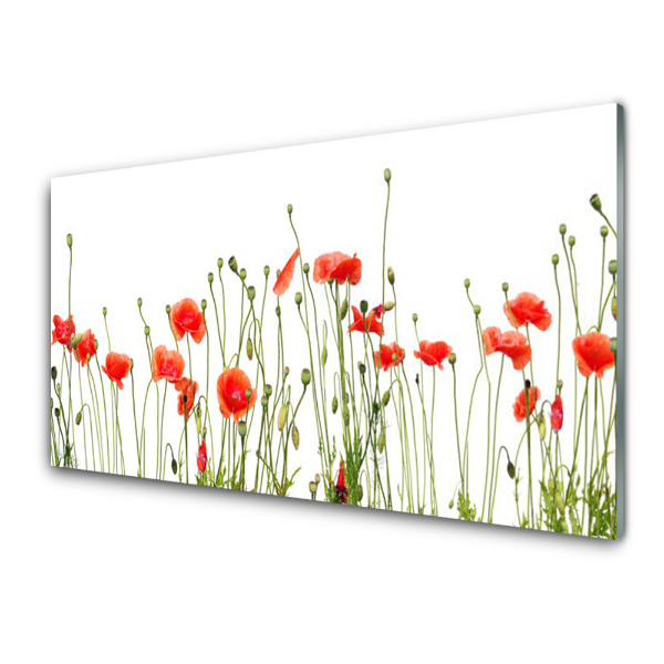 Tableau photo sur verre Petits coquelicots peints