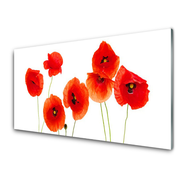 Tableau photo sur verre Fleurs de coquelicots