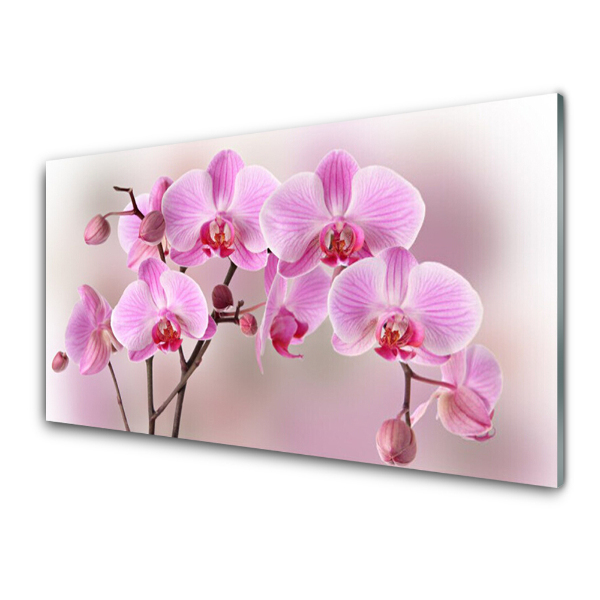 Tableau en verre Orchidée rose