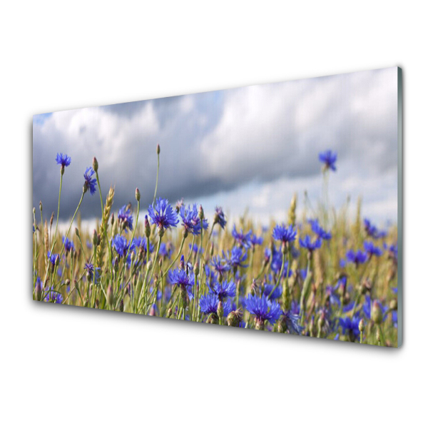 Tableau verre imprimé Fleurs bleues des champs