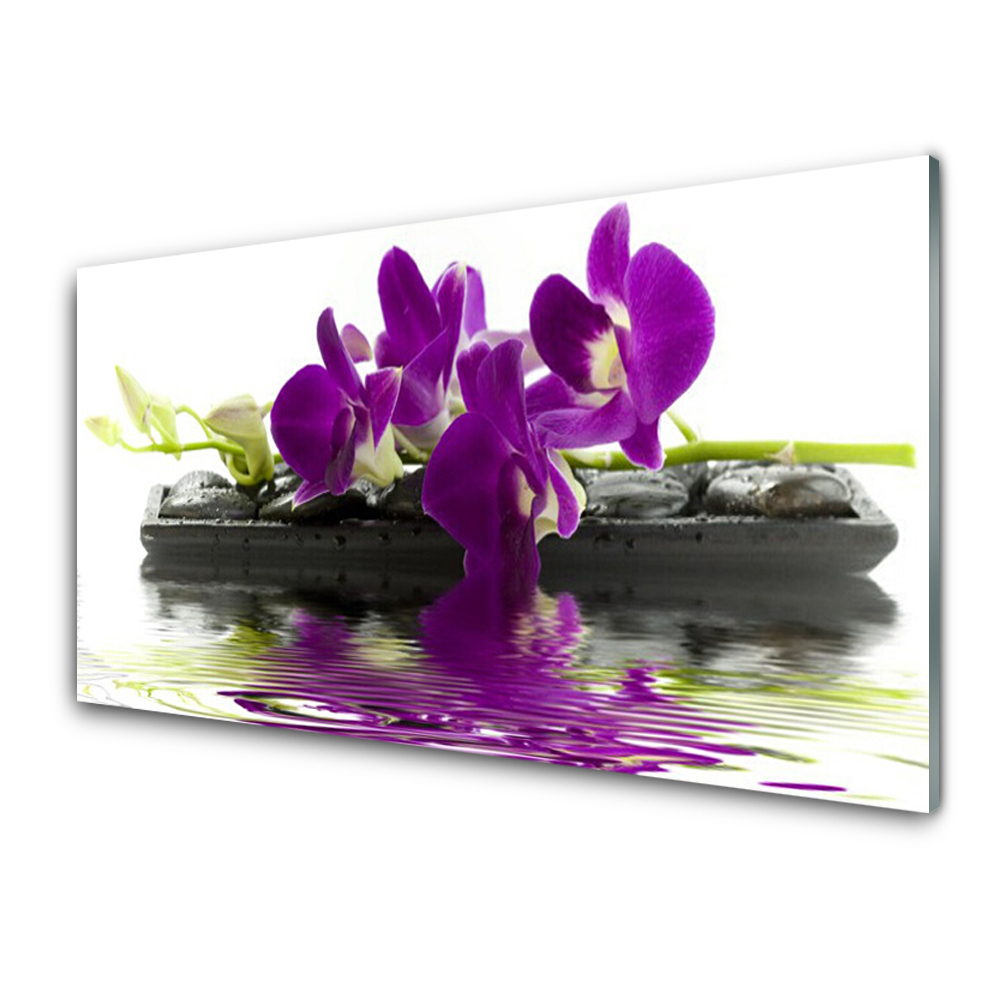 Tableau photo sur verre Fleurs violettes sur des pierres