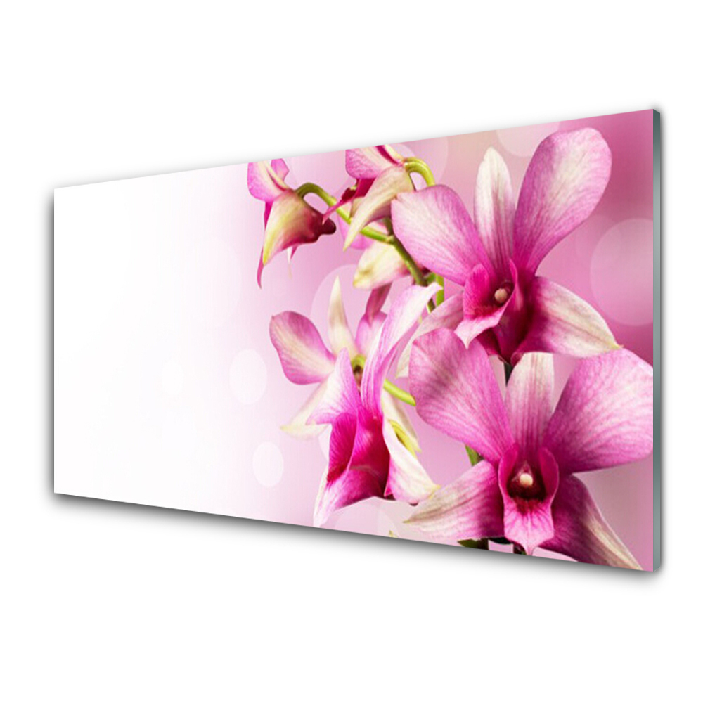 Tableau en verre Fleur rose Arrière-plan