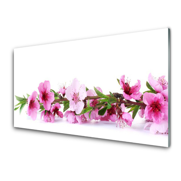 Tableau sur verre Fleur rose sur une branche