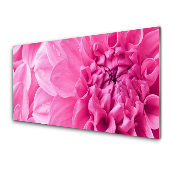 Tableau imprimé sur verre Chrysanthème rose