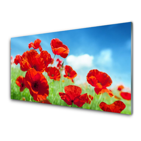 Tableau en verre Coquelicots dans l'herbe du ciel