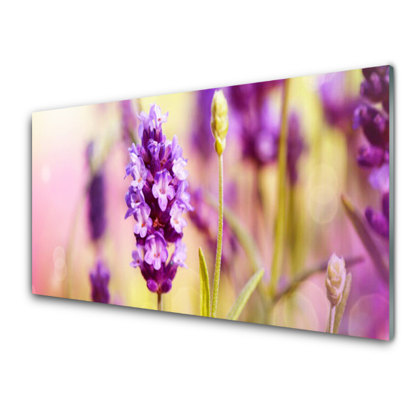 Tableau sur verre Gros plan sur une fleur violette