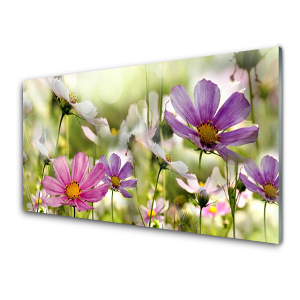 Tableau photo sur verre Gros plan sur des fleurs des champs