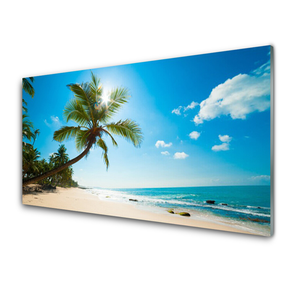 Tableau sur verre Palmier sur une plage paradisiaque