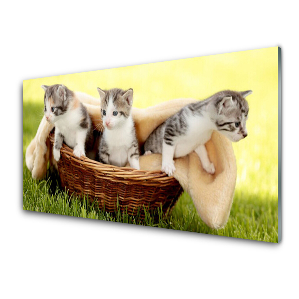 Tableau imprimé sur verre Chats dans un panier