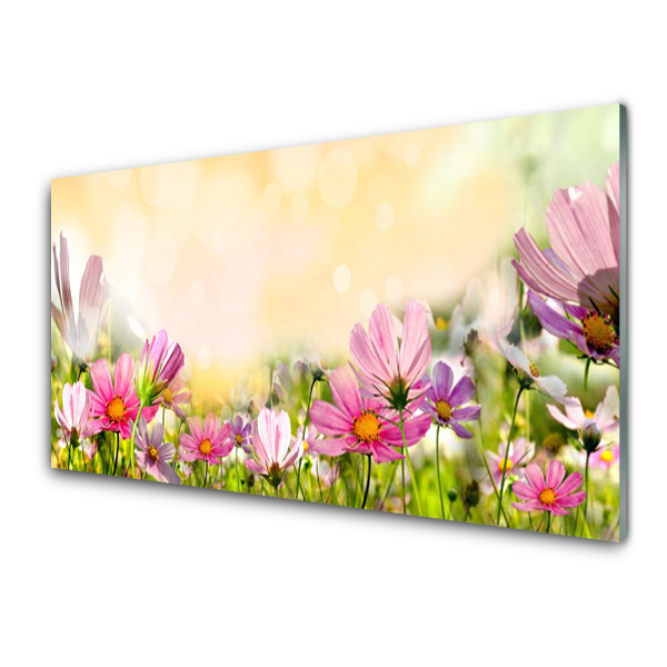 Tableau photo sur verre Plantes des champs Gros plan