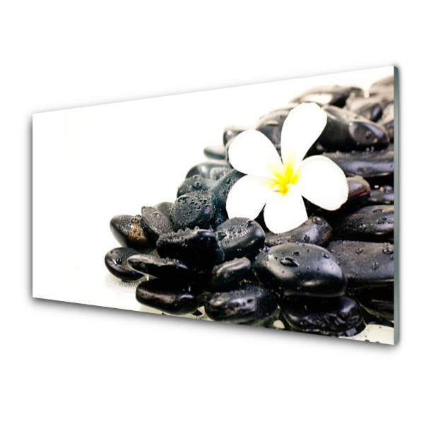 Tableau verre imprimé Fleur blanche sur pierres noires