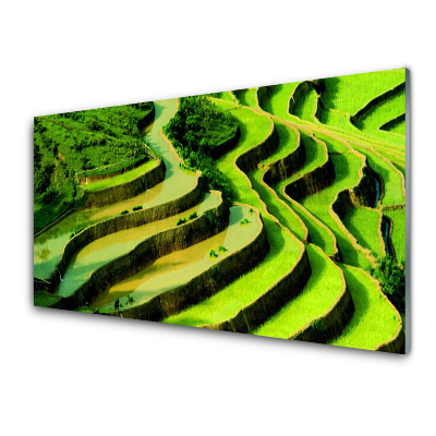 Tableau imprimé sur verre Paysage de rizières