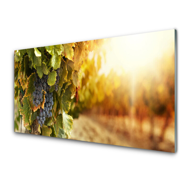 Tableau photo sur verre Grappes de raisin