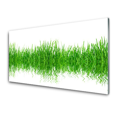 Tableau en verre Reflet de l'herbe Fond blanc