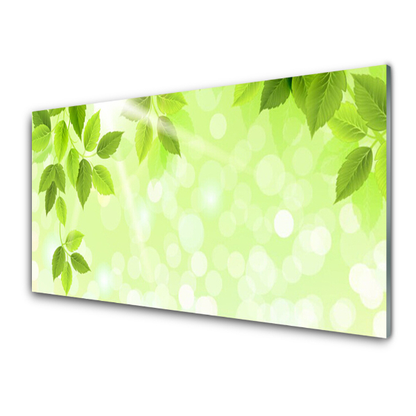 Tableau sur verre Feuilles sur fond vert