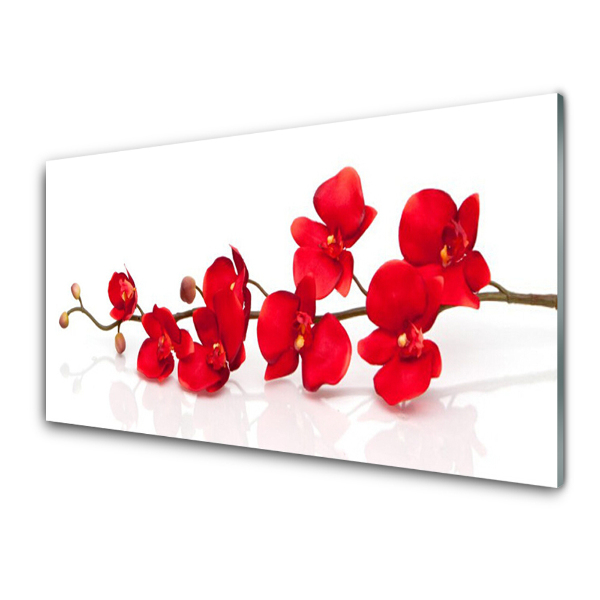 Tableau verre imprimé Fleurs d'orchidées rouges