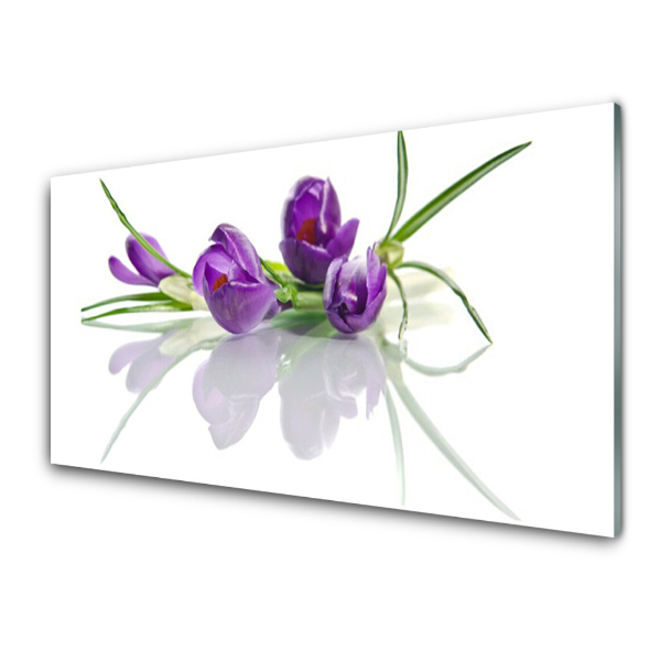 Tableau verre imprimé Crocus violets sur fond blanc