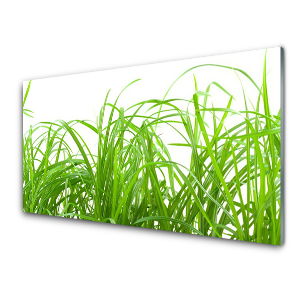 Tableau photo sur verre Gros plan sur des brins d'herbe