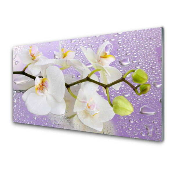 Tableau en verre Fond violet d'orchidée avec rosée