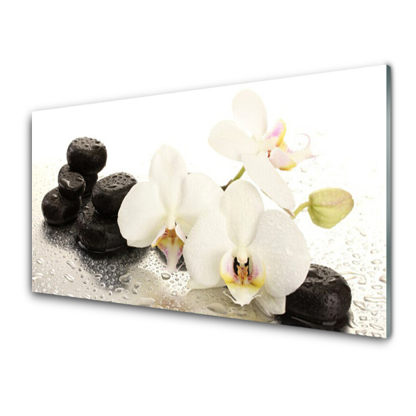 Tableau imprimé sur verre Orchidée pierres noires eau