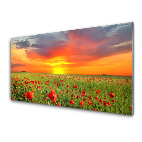 Tableau imprimé sur verre Pré de coquelicots soleil