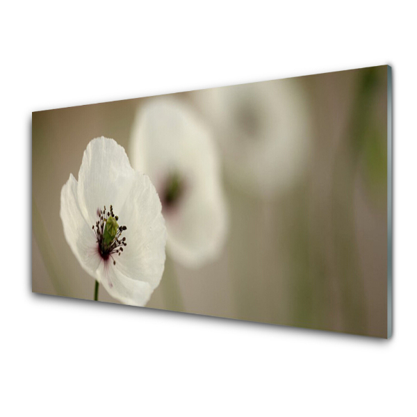 Tableau imprimé sur verre Fleur délicate en gros plan