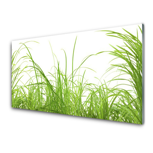 Tableau verre imprimé Grandes herbes vertes