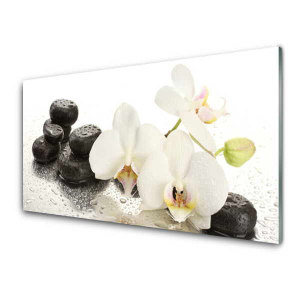 Tableau photo sur verre Orchidée en pierres noires