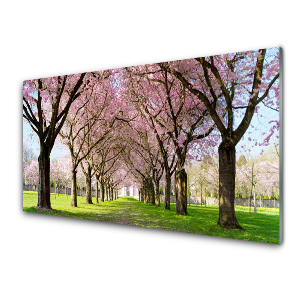 Tableau sur verre Avenue d'arbres en fleurs