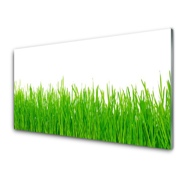 Tableau photo sur verre Jeune herbe verte