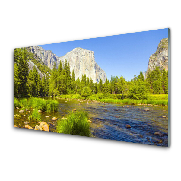 Tableau en verre Lac de montagne avec des arbres