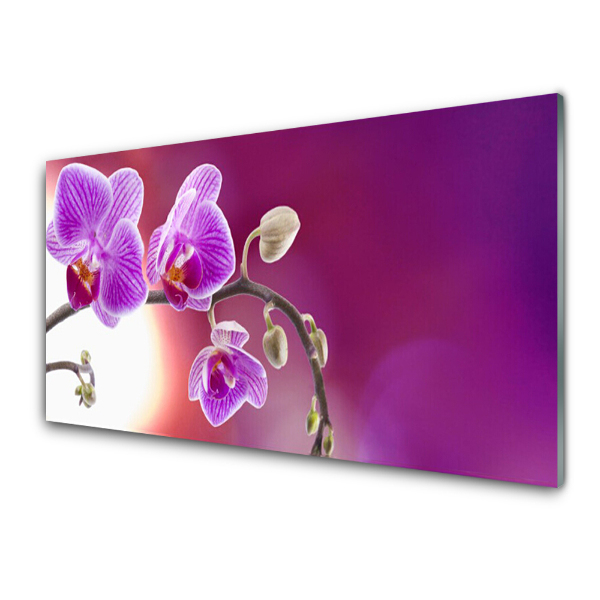 Tableau photo sur verre Orchidées sur fond rose