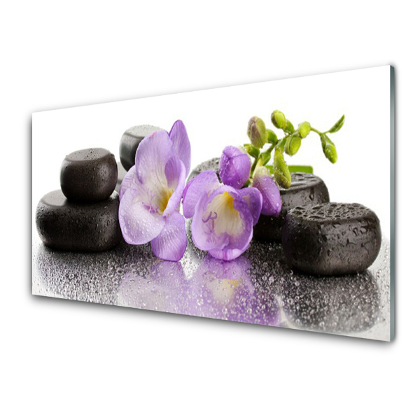 Tableau verre imprimé Fleurs violettes sur des pierres