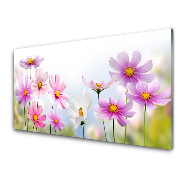 Tableau photo sur verre Champ de fleurs roses