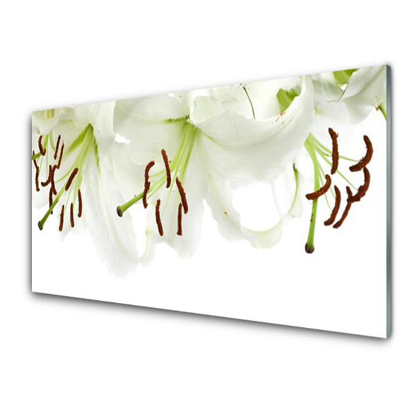 Tableau photo sur verre Fleurs blanches en gros plan