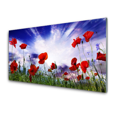 Tableau imprimé sur verre Coquelicots contre le ciel